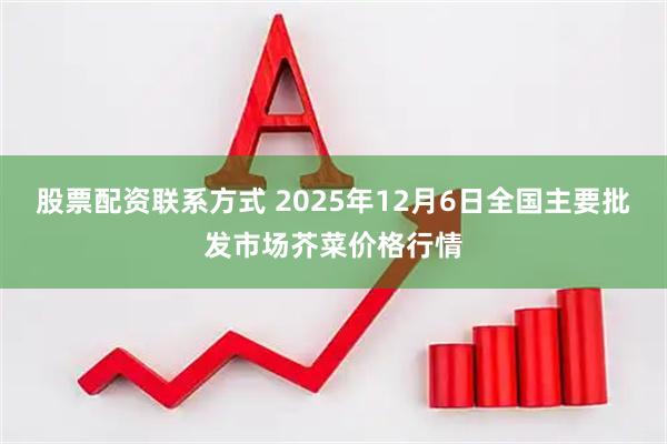 股票配资联系方式 2025年12月6日全国主要批发市场芥菜价格行情